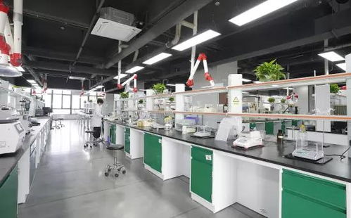 技術驅動，全球布局 一家潤滑油企業(yè)的出海新篇章